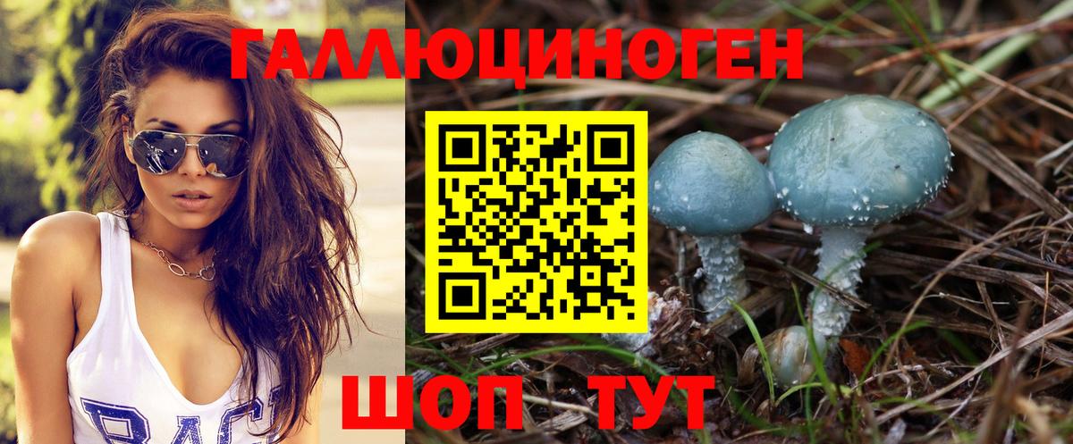 Галлюциногенные грибы мухоморы  Псилоцибиновые грибы Psilocybine cubensis  Вход с VPN  Благовещенск 