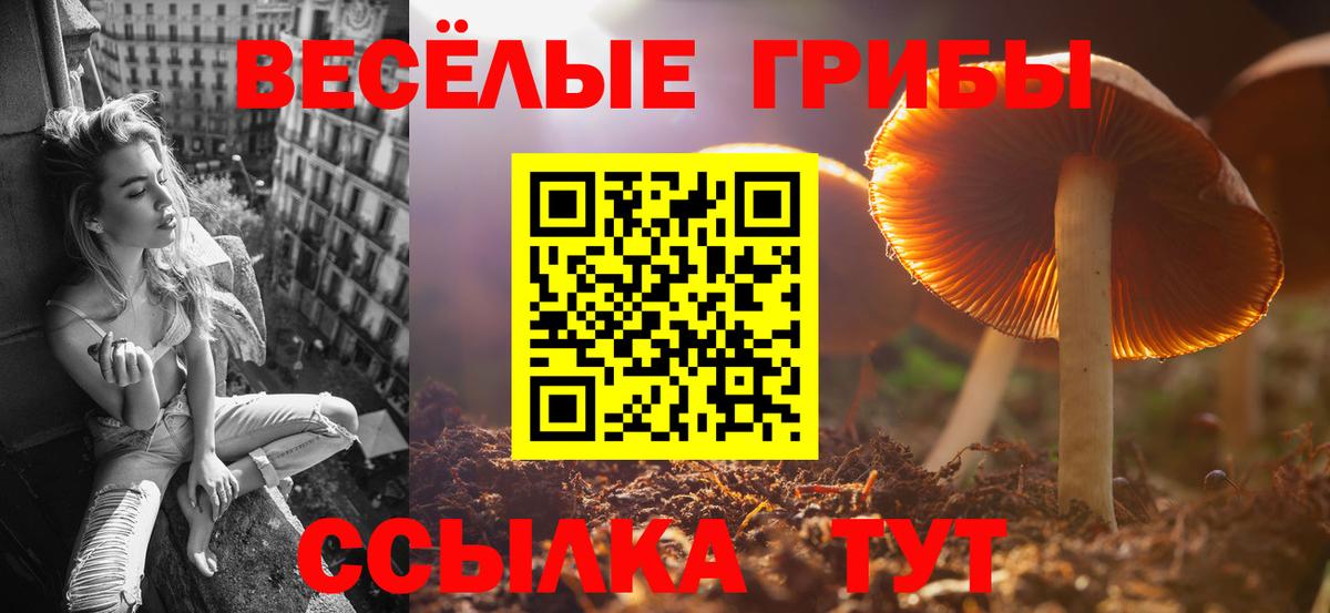 Псилоцибиновые грибы Cubensis Благовещенск